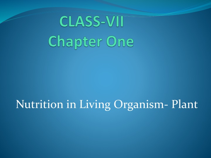 nutrition in living organism plant