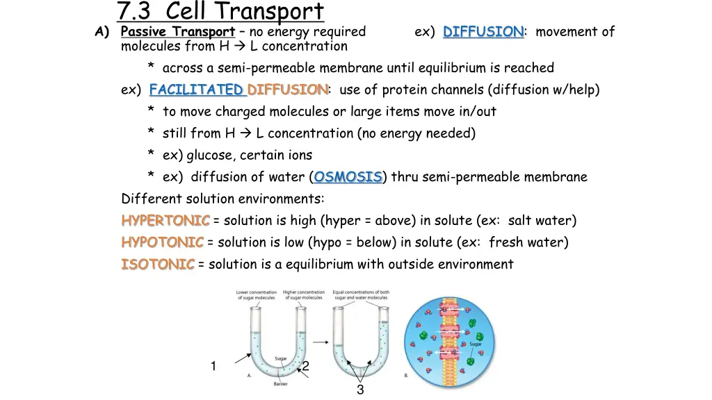 7 3 cell transport a passive transport no energy