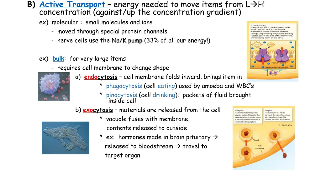 b active transport energy needed to move items