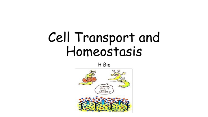 cell transport and homeostasis h bio