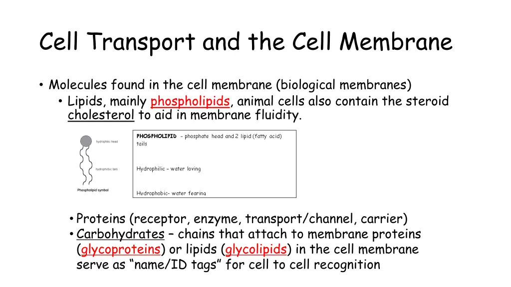 cell transport and the cell membrane 1