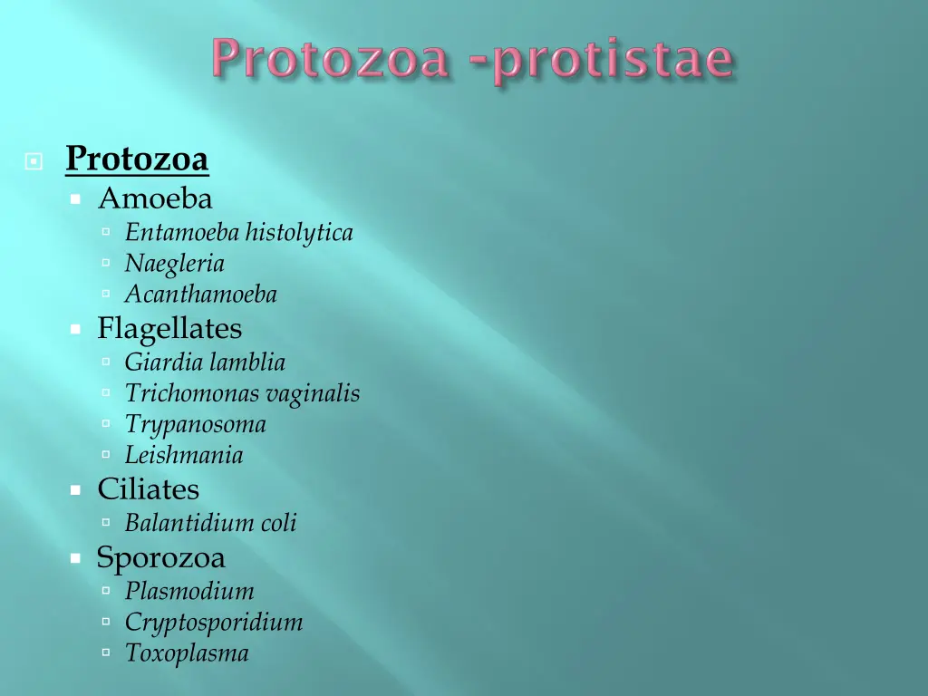 protozoa amoeba entamoeba histolytica naegleria