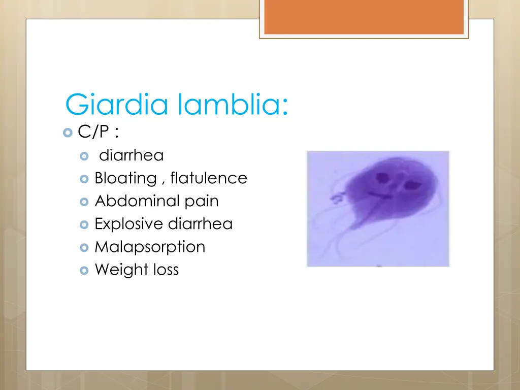 giardia lamblia c p diarrhea bloating flatulence