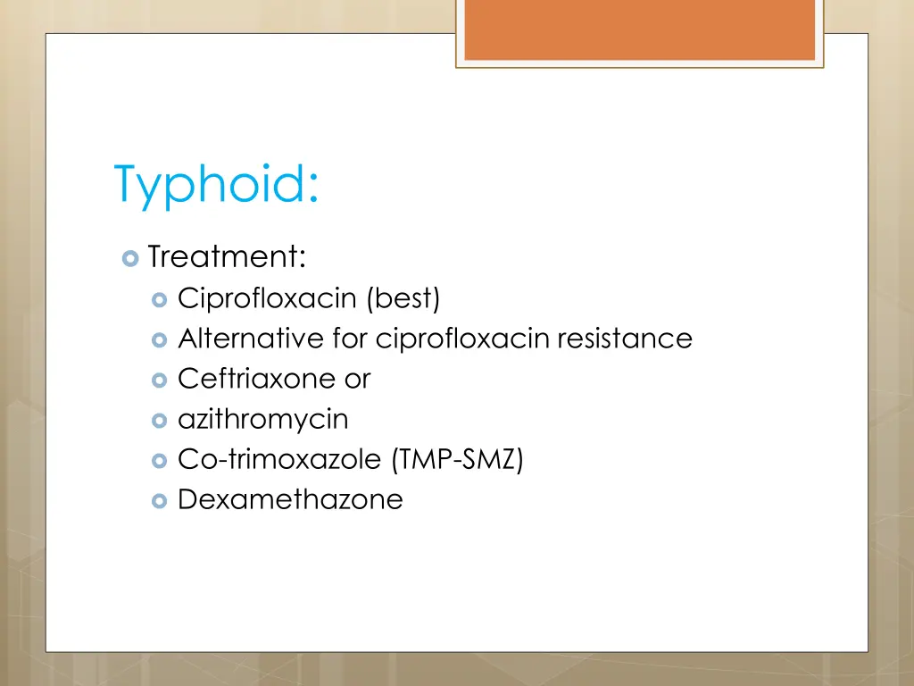 typhoid 2