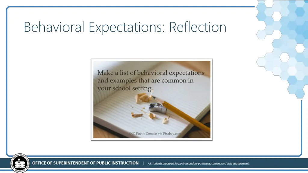 behavioral expectations reflection