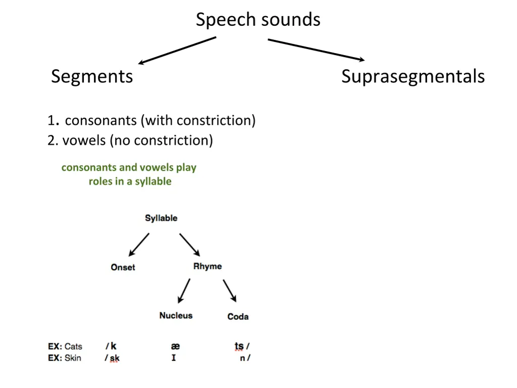 speech sounds