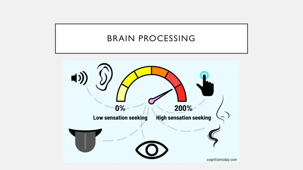 brain processing