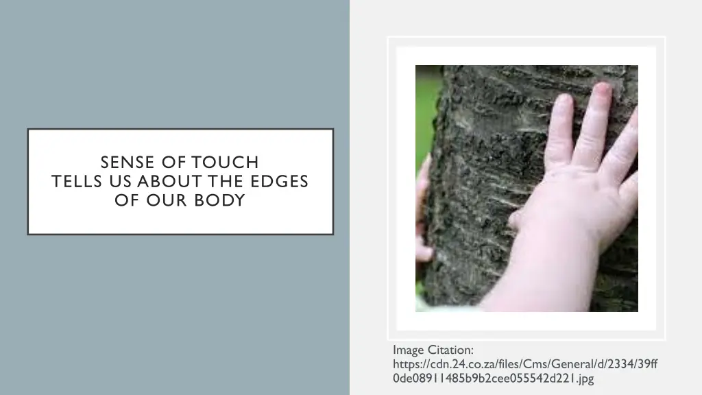 sense of touch tells us about the edges