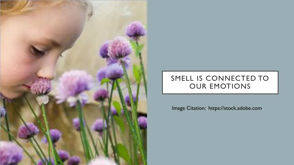 smell is connected to our emotions