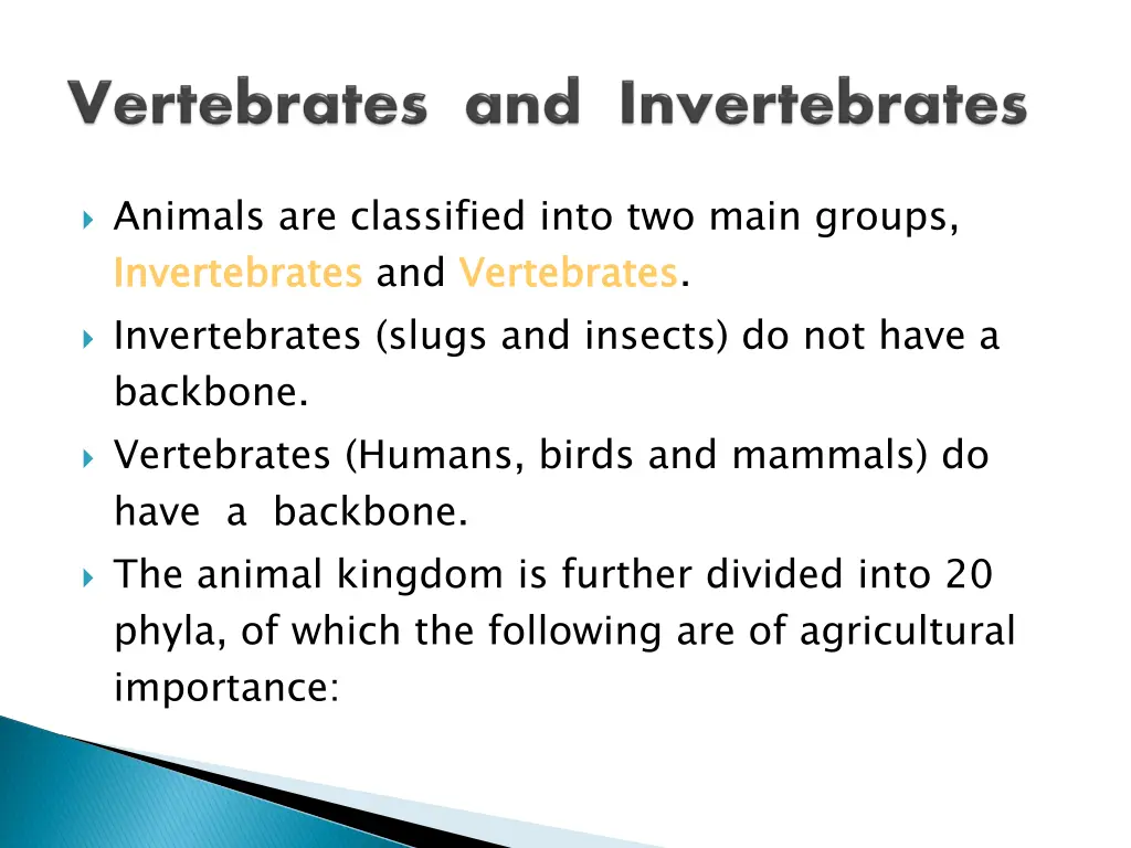 animals are classified into two main groups