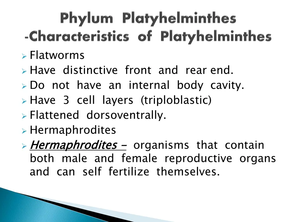 flatworms have distinctive front and rear