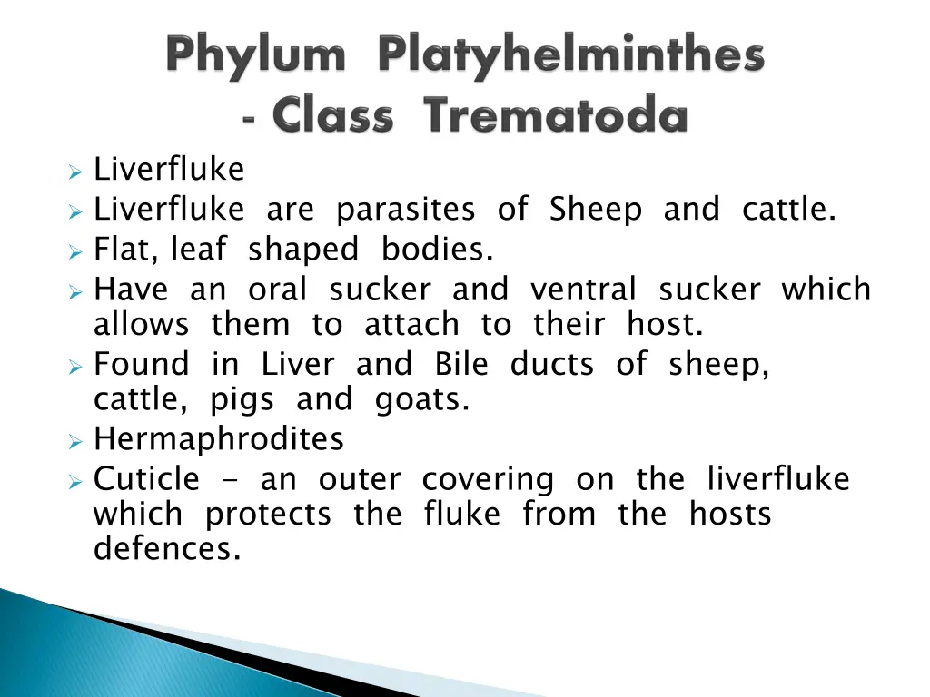 liverfluke liverfluke are parasites of sheep