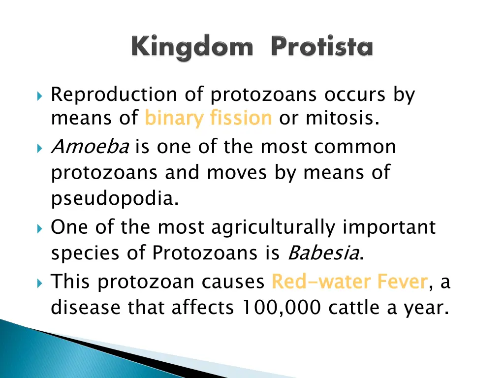 reproduction of protozoans occurs by means