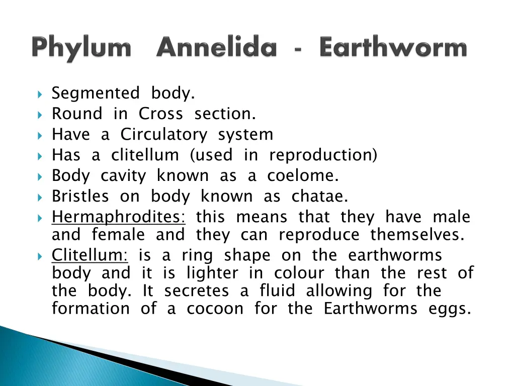 segmented body round in cross section have