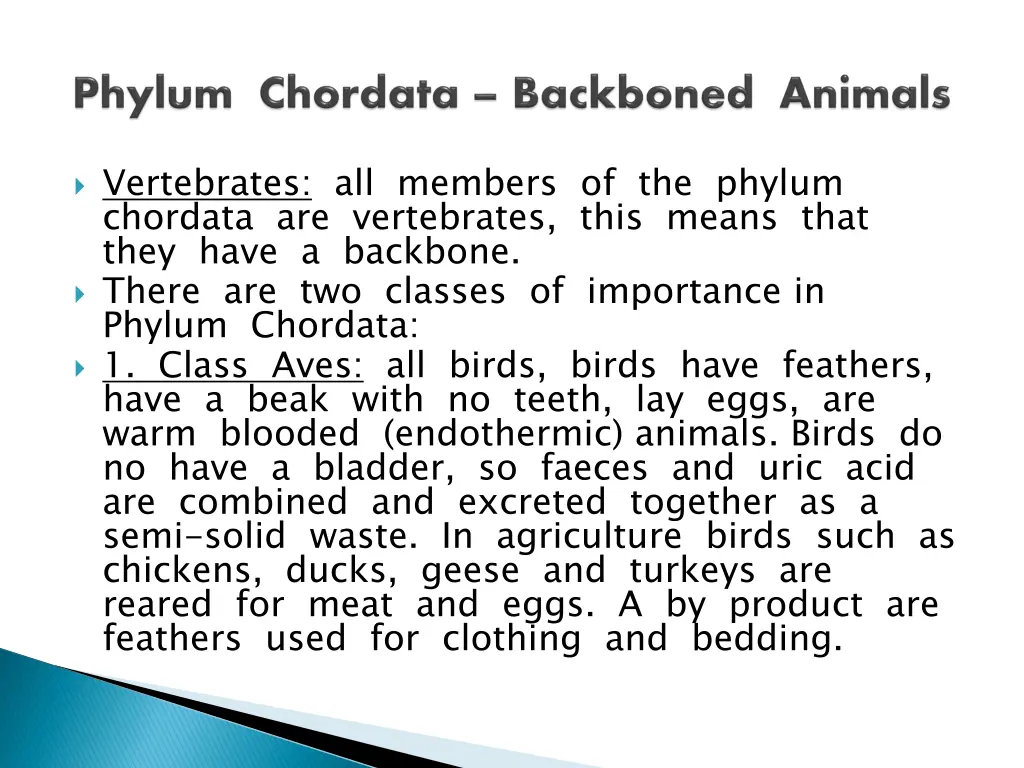 vertebrates all members of the phylum chordata