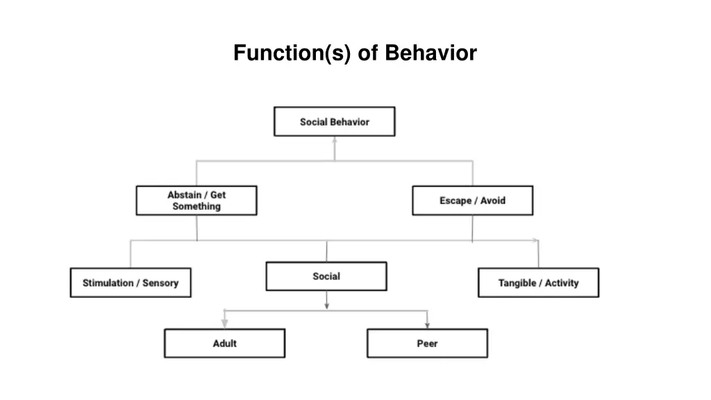 function s of behavior