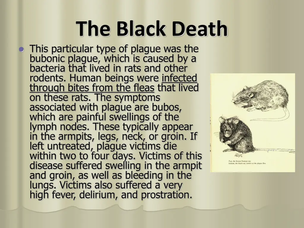 the black death this particular type of plague