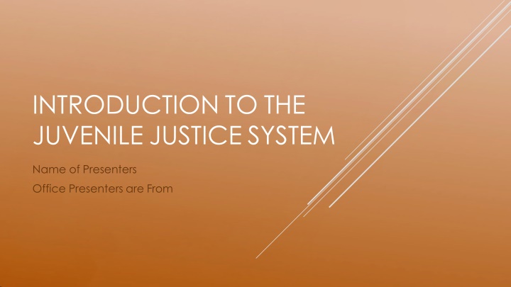 introduction to the juvenile justice system