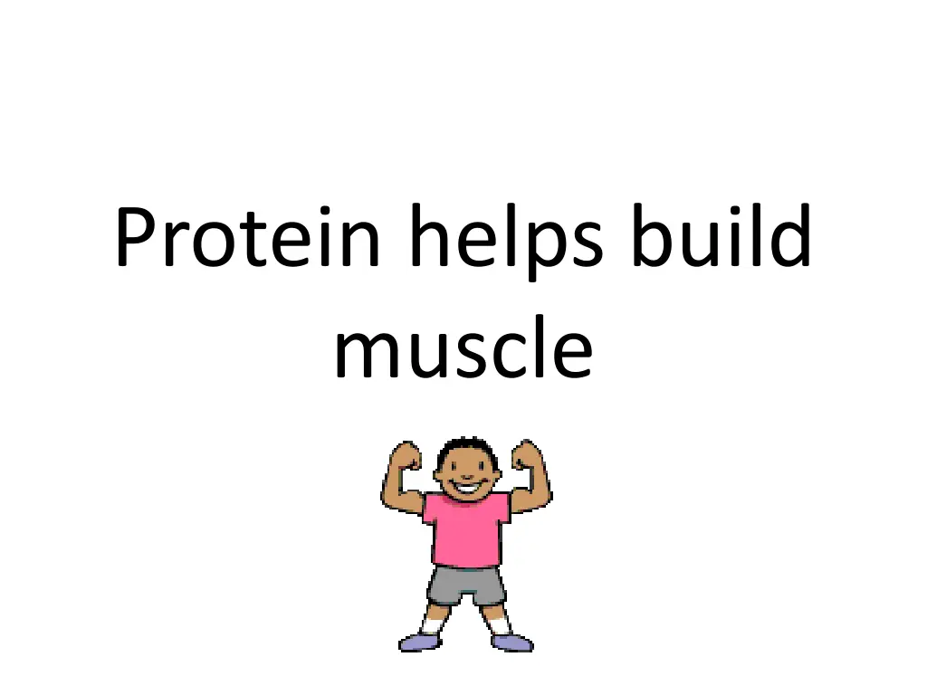 protein helps build muscle