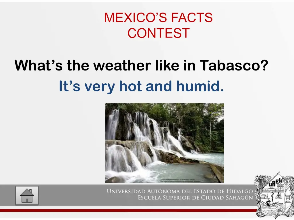 mexico s facts contest 11