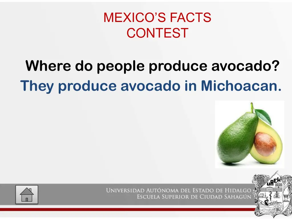 mexico s facts contest 6