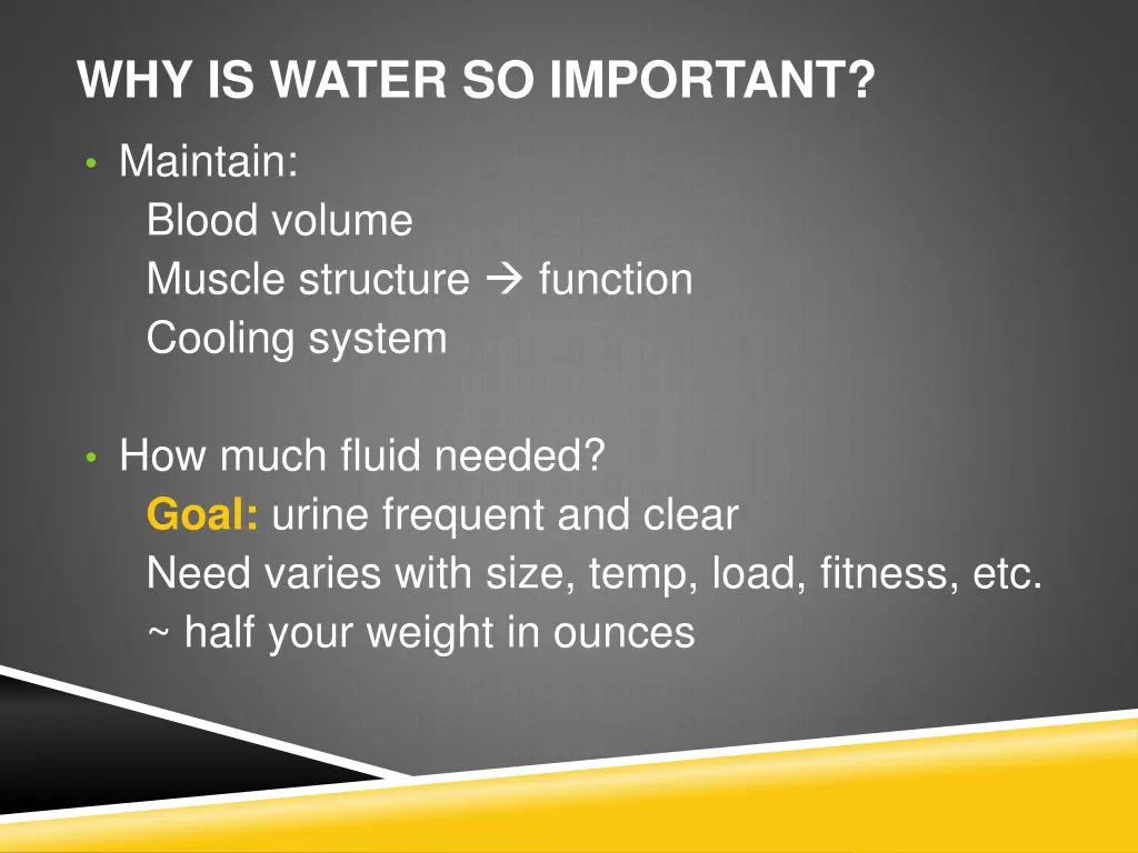 why is water so important