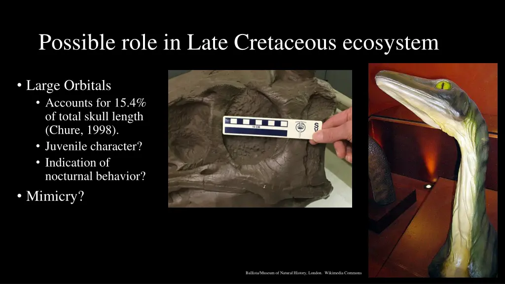 possible role in late cretaceous ecosystem