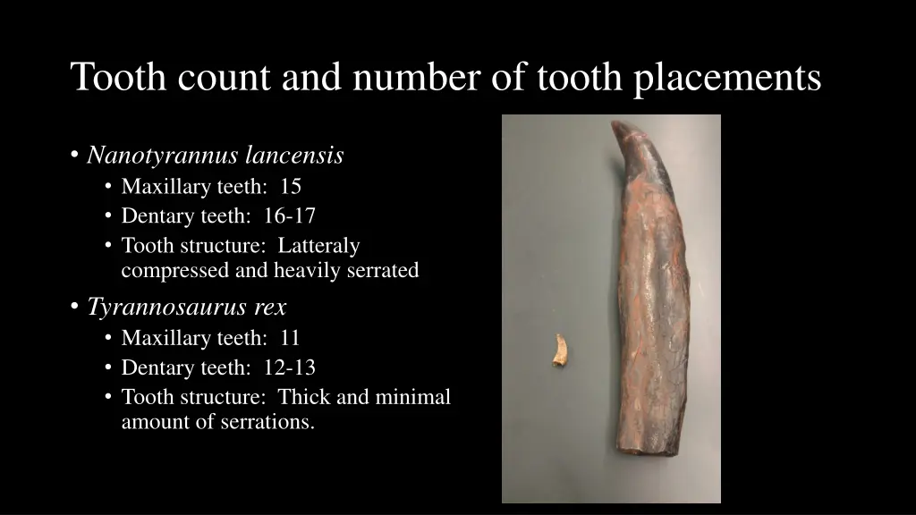 tooth count and number of tooth placements