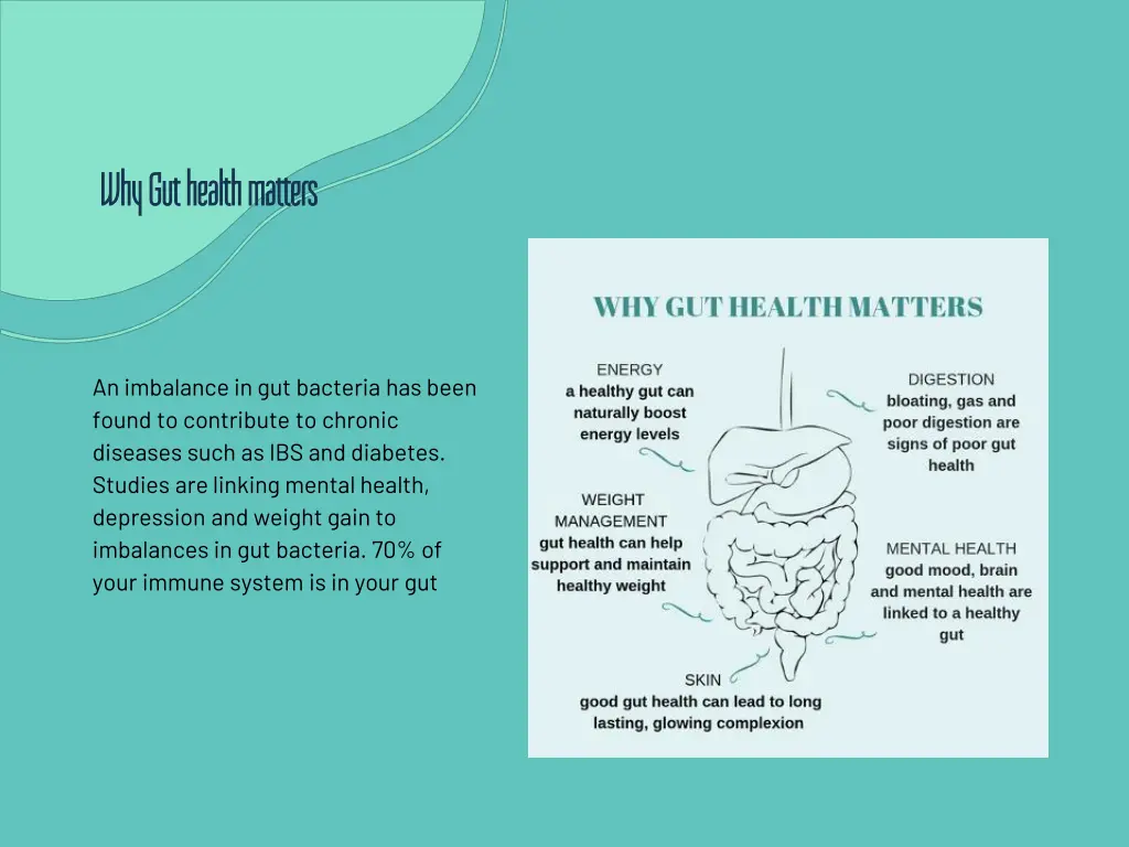 why gut health matters why gut health matters