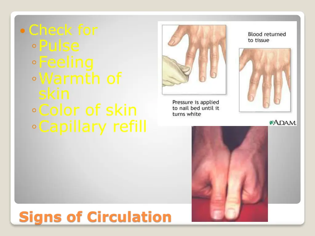 check for pulse feeling warmth of skin color