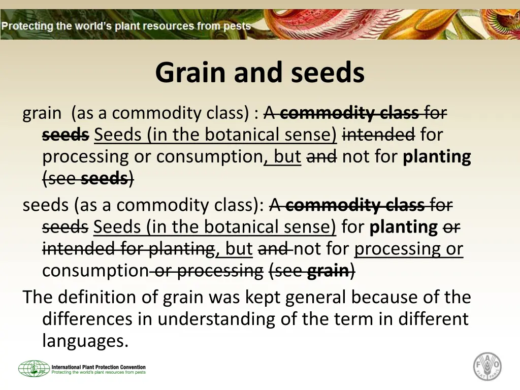 grain and seeds