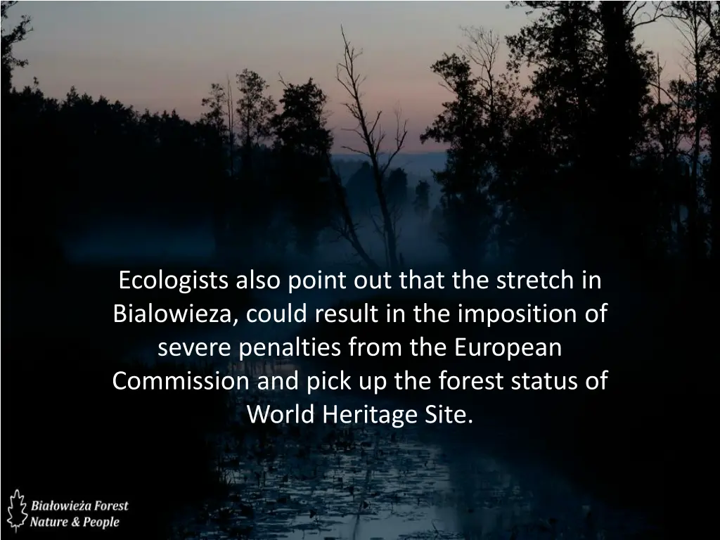 ecologists also point out that the stretch