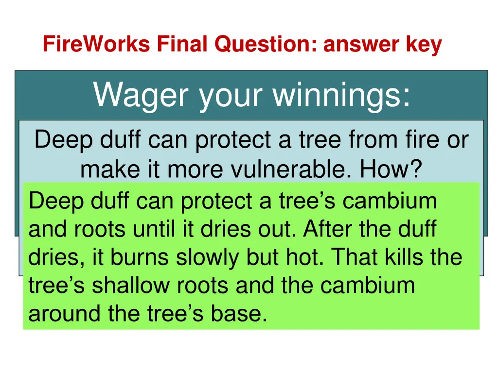 fireworks final question answer key