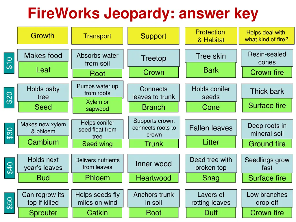 fireworks jeopardy answer key