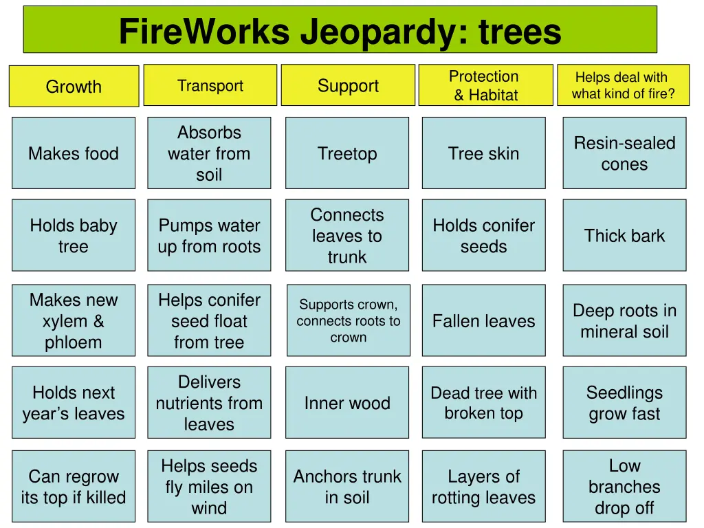 fireworks jeopardy trees 1