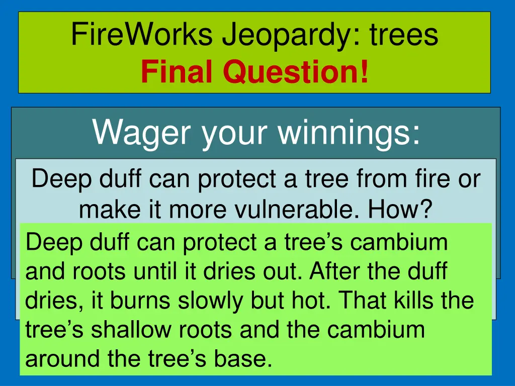 fireworks jeopardy trees final question 1