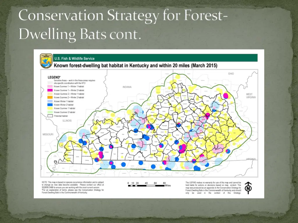 conservati0n strategy for forest dwelling bats 2