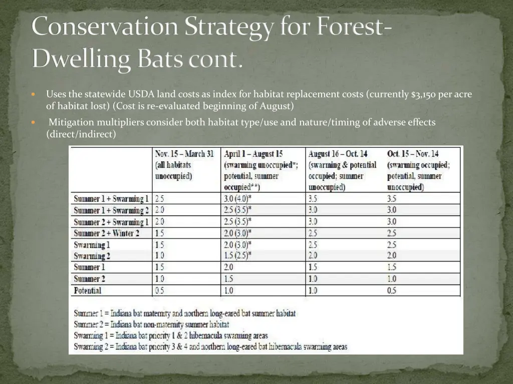 conservati0n strategy for forest dwelling bats 3