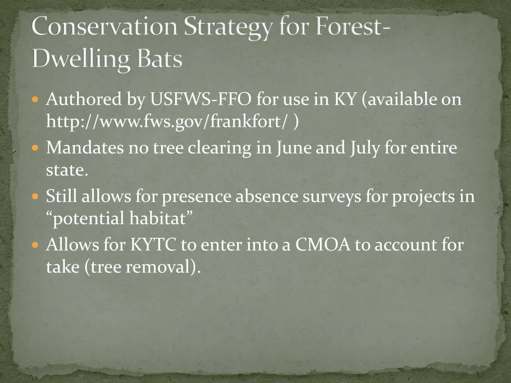 conservati0n strategy for forest dwelling bats