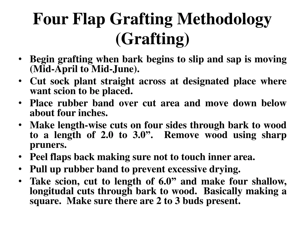 four flap grafting methodology grafting begin