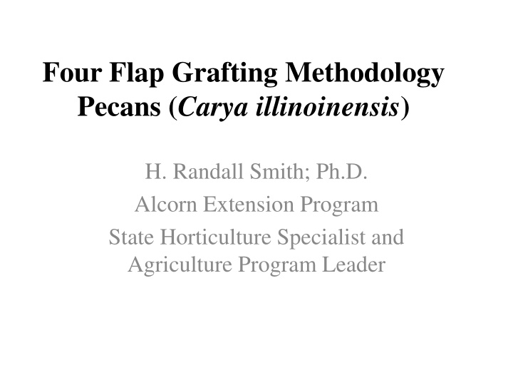 four flap grafting methodology pecans carya