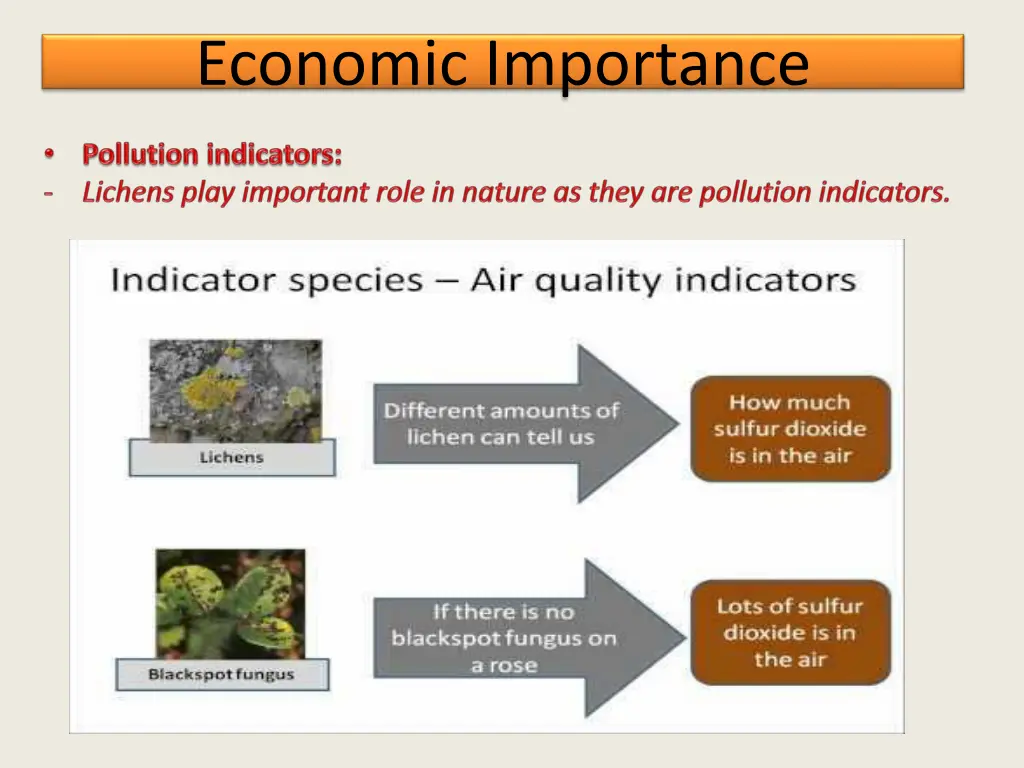 economic importance 4