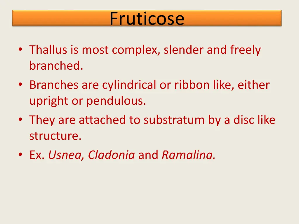 fruticose