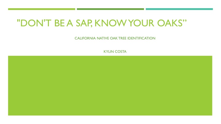 don t be a sap know your oaks