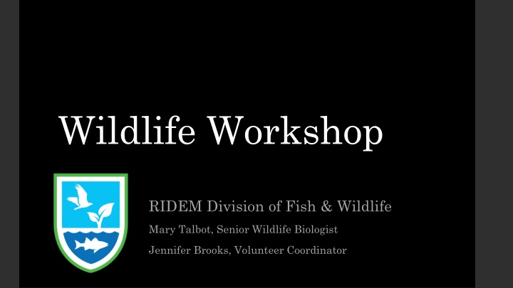 wildlife workshop