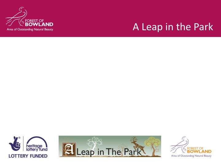 a leap in the park