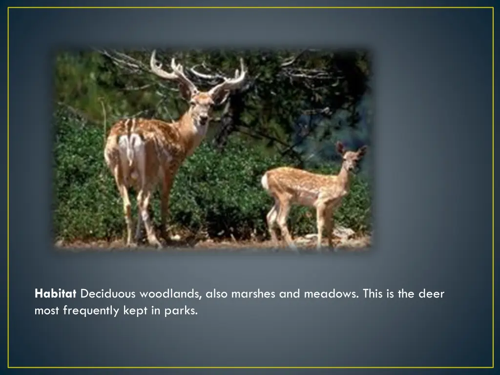 habitat deciduous woodlands also marshes