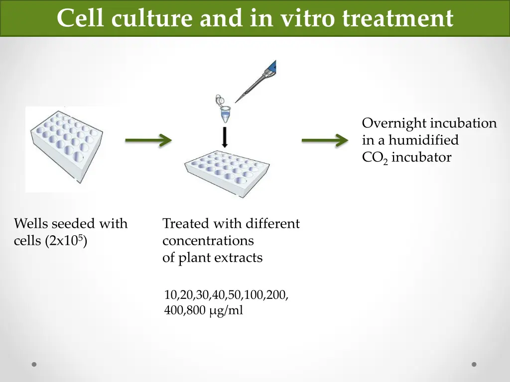 cell culture and in vitro treatment