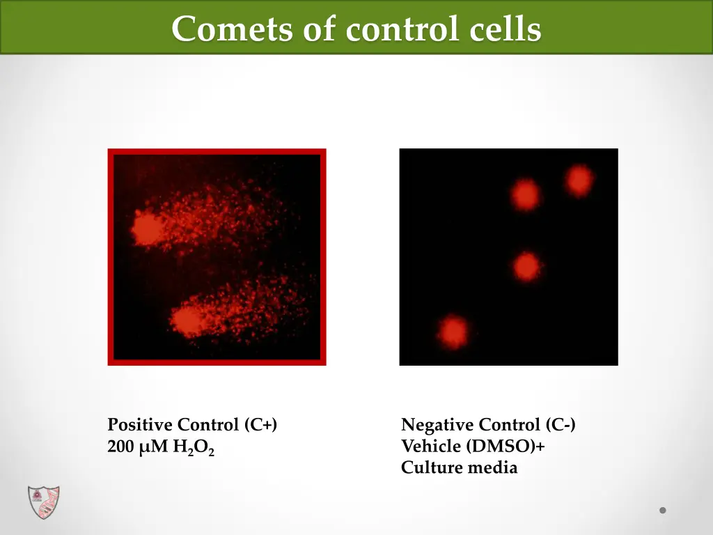 comets of control cells