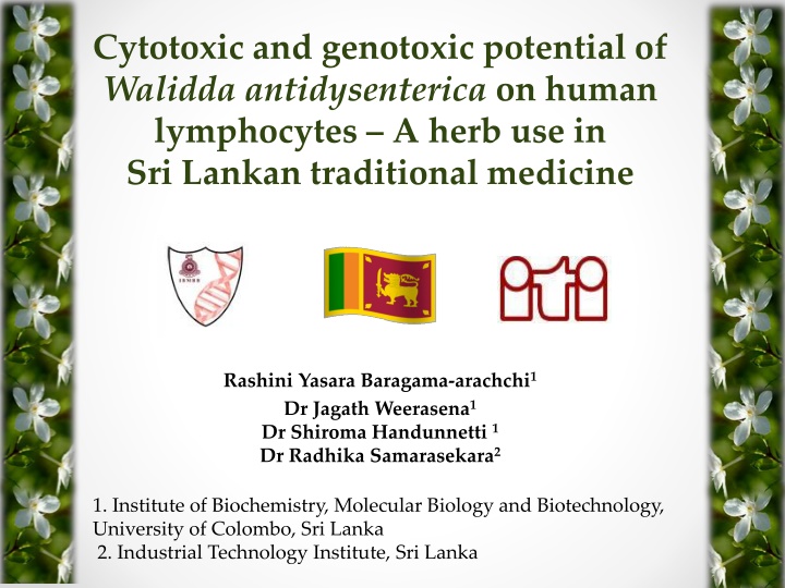 cytotoxic and genotoxic potential of walidda